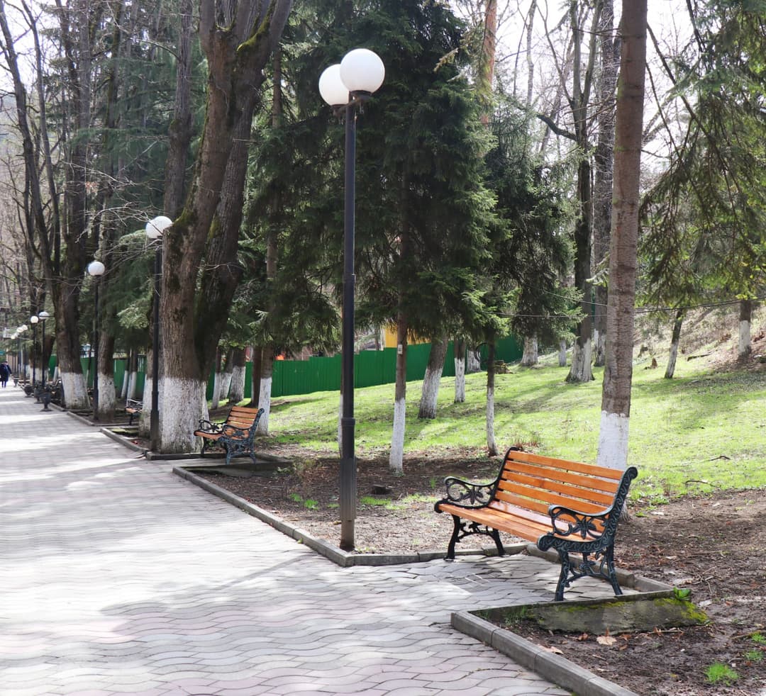 ბორჯომის მერიამ კოსტავას სახელობის ბაღში 50 ახალი სკამი განათავსა