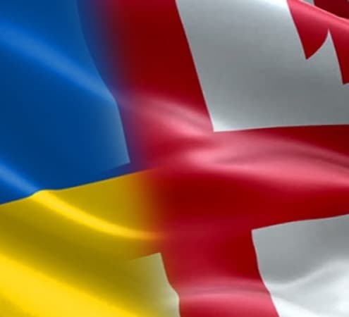 Foreign Relations Committee of the Parliament of Georgia shared a statemant regarding the situation in Ukraine