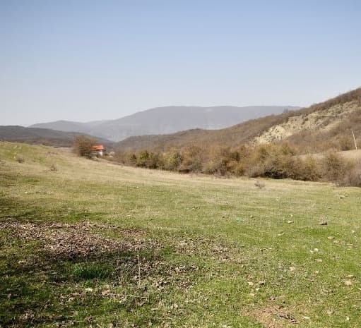 დიდი ოდენობით სახელმწიფო ქონების მოტყუებით დაუფლების ბრალდებით ერთი პირი დააკავეს