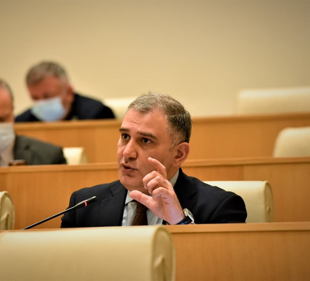 “გაუგებარია, როგორ შეიძლება ოპოზიციური პარტია იყოს გიორგი გახარიას ლიდერობით, როდესაც ის ახლახანს პრემიერი იყო”