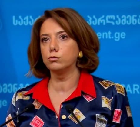 “გავაცანით ჩვენი ხედვა ელჩებს, მოვისმინეთ მათი აზრი”