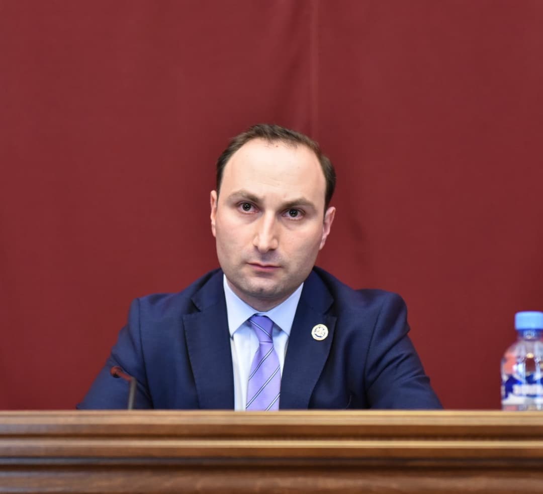 “მელია ევროკავშირის გირაოზე უარს ამბობს, არ გამიკვირდება, თუ უარს იტყვის ამნისტიაზე იმ მოტივით, რომ მას “ოცნების“ საპატიებელი არაფერი სჭირს”