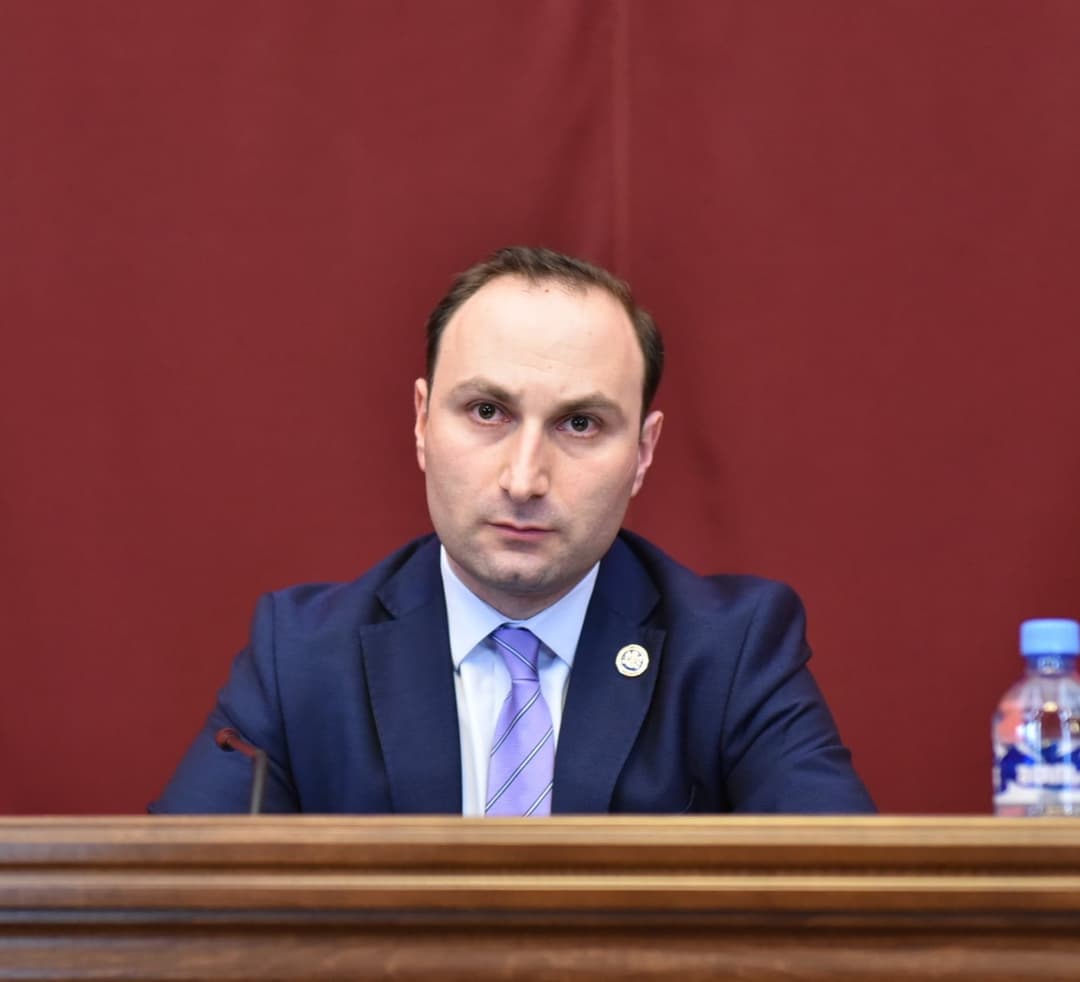 “დოკუმენტში ნიკანორ მელიას სახელს ვენ ნახავთ, ამნისტია ეხება ყველა სავარაუდო დანაშაულს”