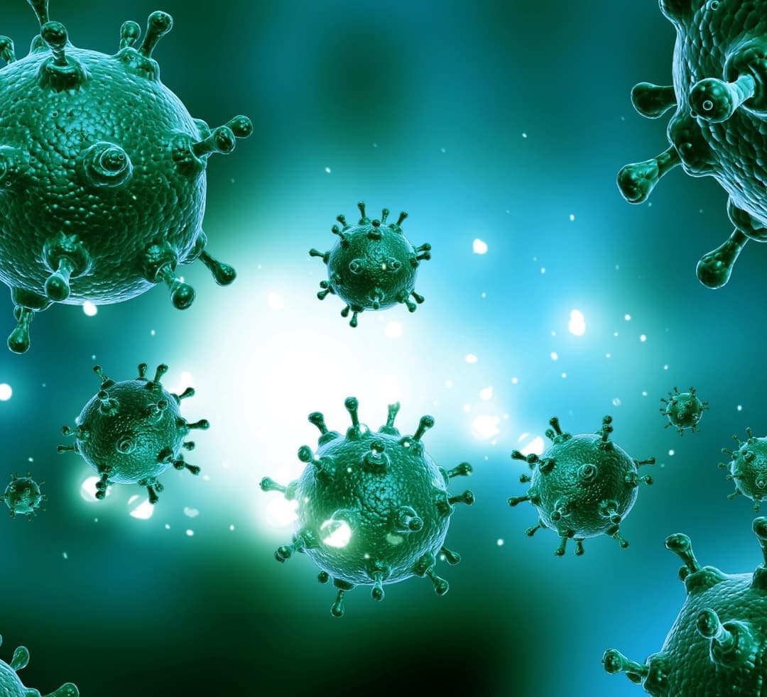 521 new cases of coronavirus have been detected in Georgia