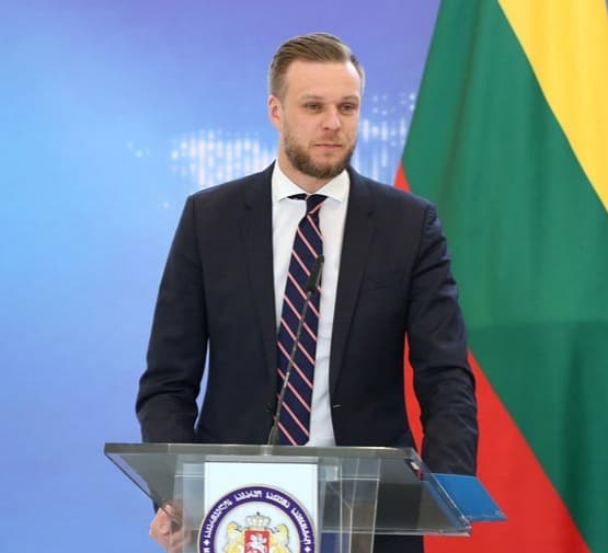 “მოვუწოდებ ბატონ მელიას, გაითვალისწინოს ის გარანტიები, რომლებიც შეთავაზებულია ევროპელი კოლეგებისგან”