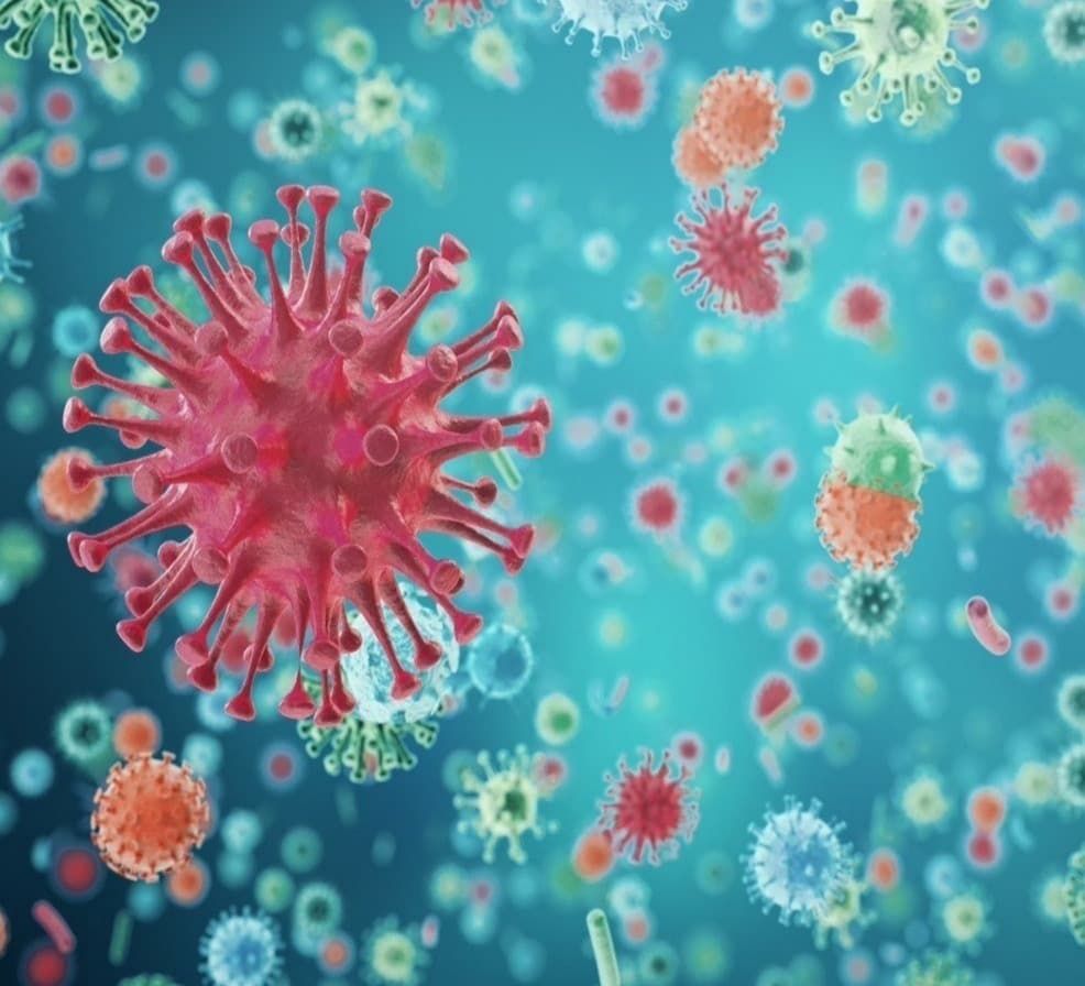 The number of COVID-19 infections in the world exceeded 150 million, the number of victims – 3.1 million