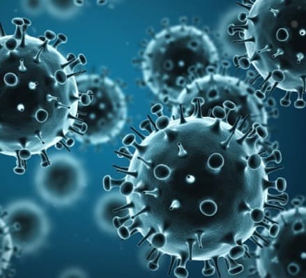 The number of COVID-19 infections in the world exceeded 151 million, the number of victims – 3.17 million