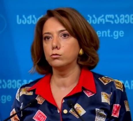 “როგორც ჩანს, ნიკა მელია ევროკავშირის მიერ დაფარული გირაოს გამოყენებით დატოვებს საპატიმროს”