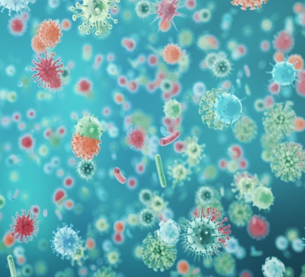 Out of 509 new cases of coronavirus, 321 were detected in Tbilisi