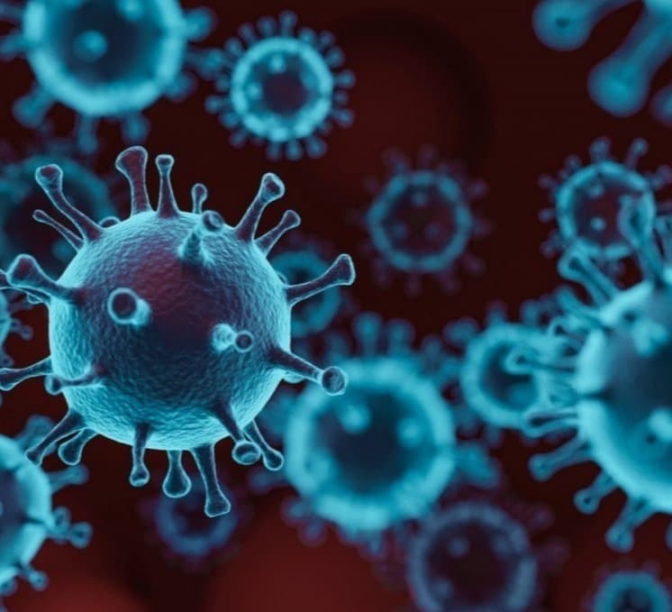 Out of 788 new cases of coronavirus, 384 were detected in Tbilisi and 106 in Adjara