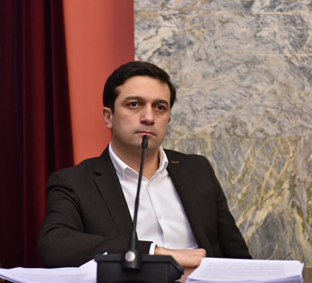 “მგონია, სალომე ზურაბიშვილი შეეცდება და იმ გზას დაადგება, სადაც დამოუკიდებელი პოლიტიკური ფიგურის იმიჯს მოირგებს”