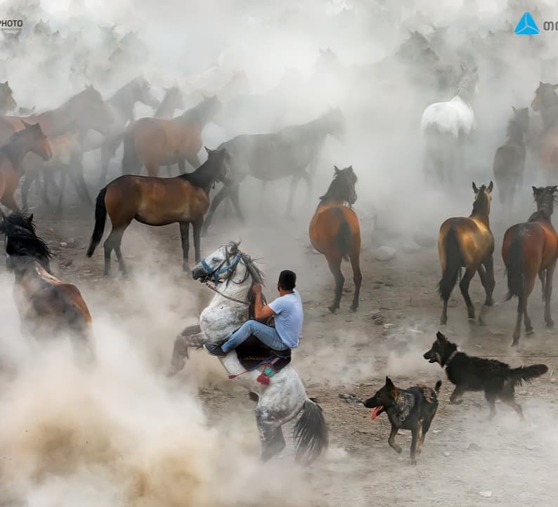 ქოლგა თბილისი ფოტო 2021-ის დაჯილდოება 7 მაისს, ვირტუალურ სივრცეში გაიმართება