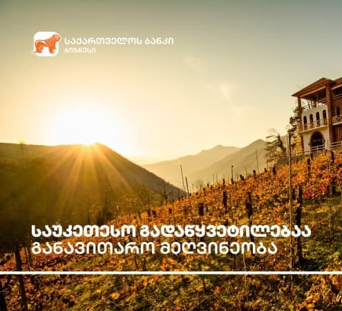 საუკეთესო გადაწყვეტილებაა განავითარო მეღვინეობა