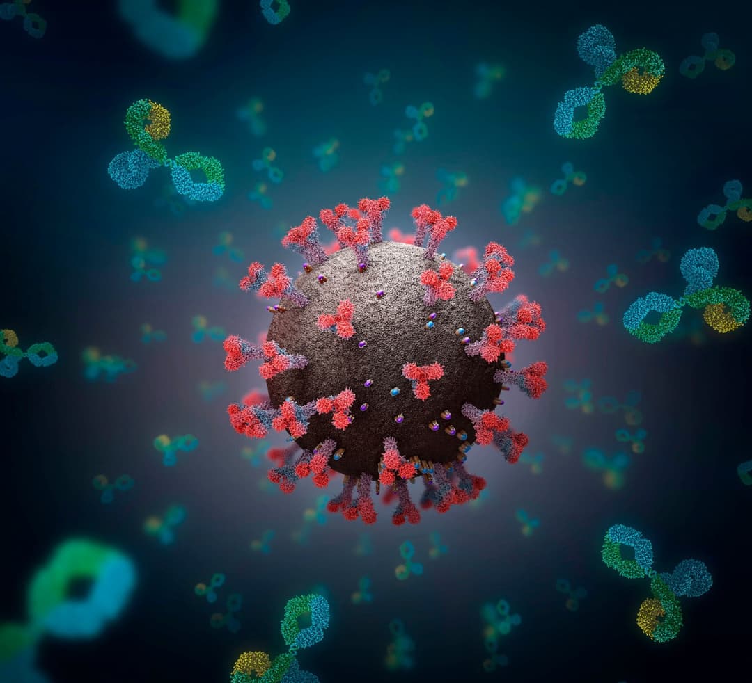 საქართველოში კორონავირუსის 776 ახალი შემთხვევა გამოვლინდა