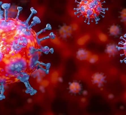 Frontnews image description