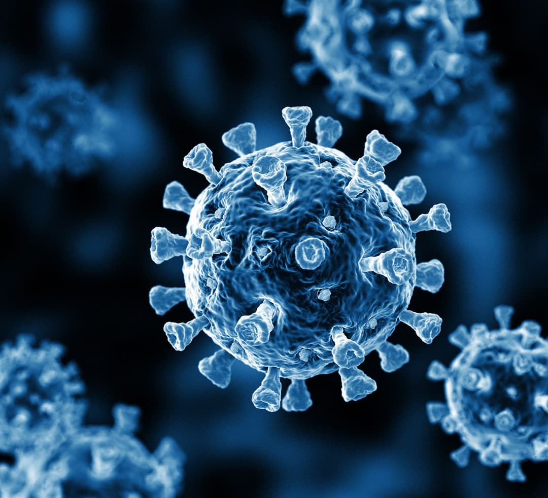 24 საათში საქართველოში კორონავირუსით 16 ადამიანი გარდაიცვალა