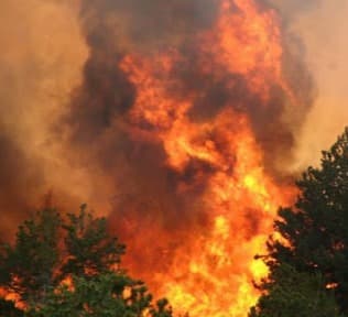 ადიგენის ტყეში ხანძარია