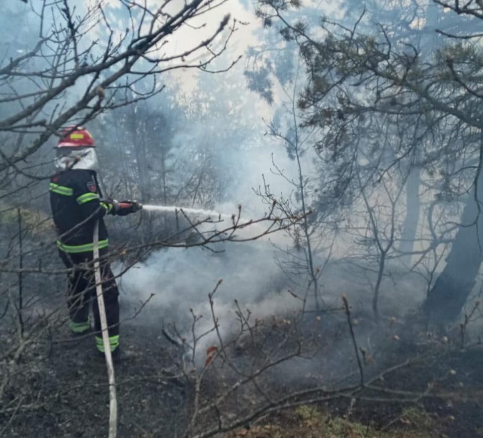 ადიგენში, სოფელ შოყას მიმდებარედ გაჩენილი ტყის ხანძარი ლიკვიდირებულია