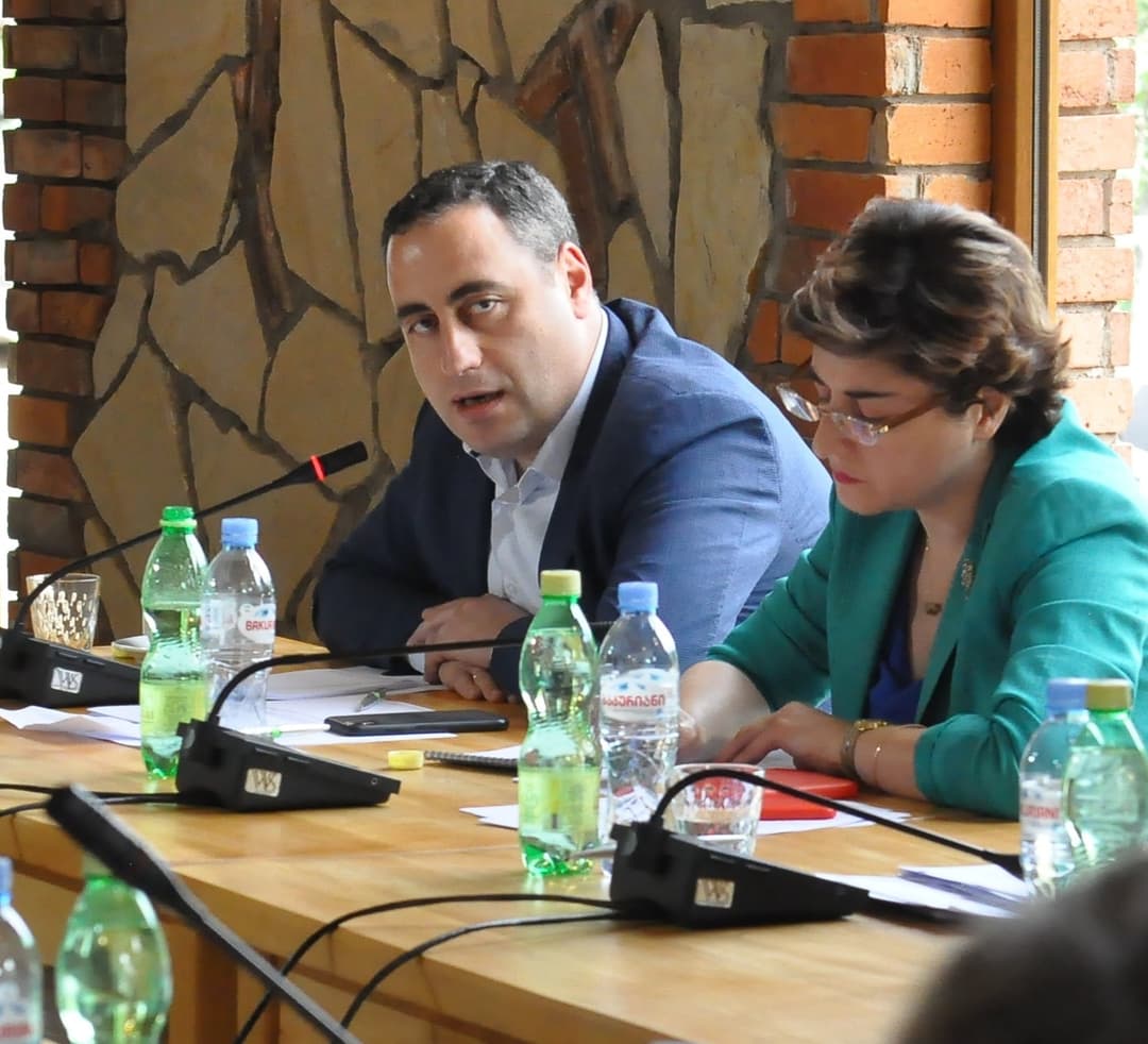 “ამ რეფორმას აზრი იმიტომ აქვს, რომ ჟვანია ჩაატარებს, ფაჩიკო, ფიჩიკო, თუ ვიღაცა, ვერავინ შეძლებს არჩევნების გაყალბებას”