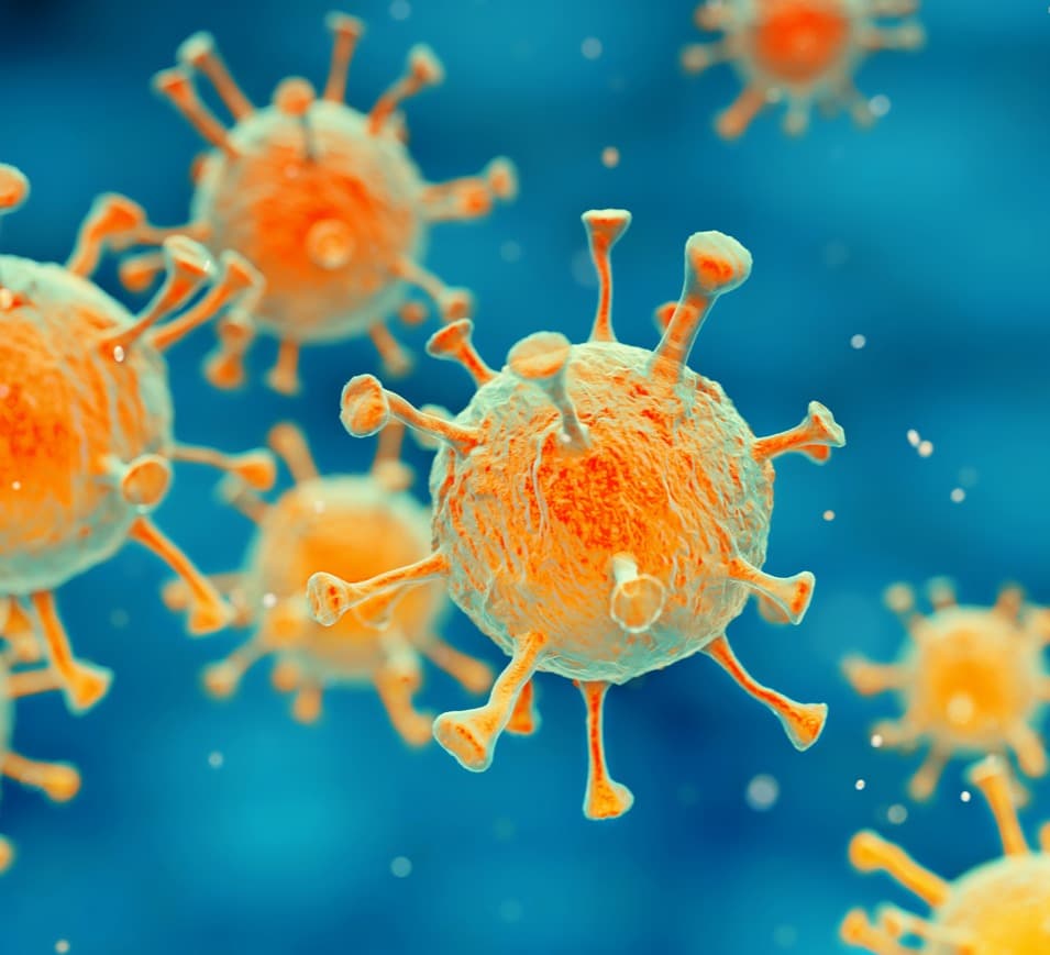 კორონავირუსის 733 ახალი შემთხვევიდან 425 თბილისში გამოვლინდა