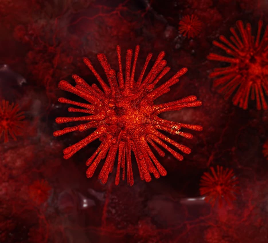 კორონავირუსის 1 354 ახალი შემთხვევიდან 699 თბილისში გამოვლინდა, 114 – აჭარაში, 184 – იმერეთში