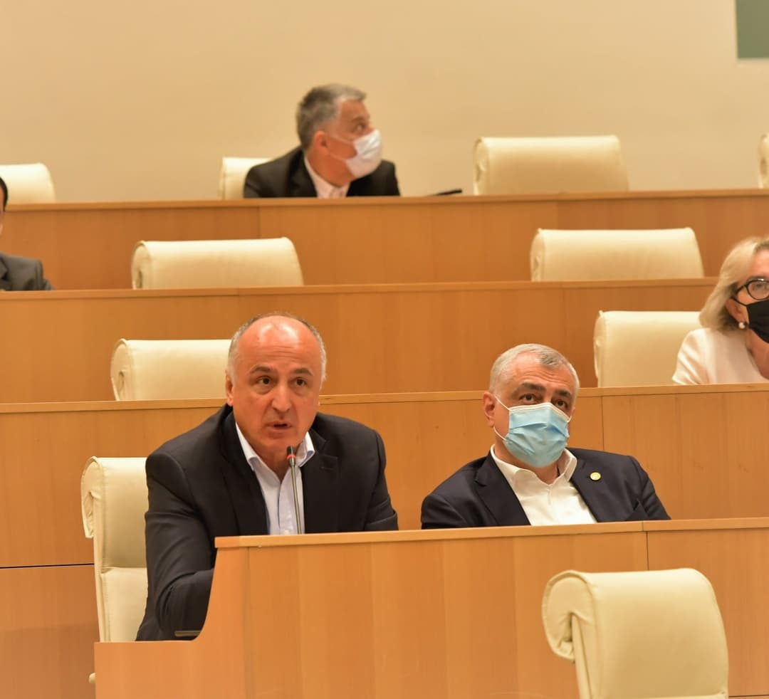 “ამნისტიის კანონპროექტის სხვა ვერსიას ჩვენ მხარს ვერ დავუჭერთ”