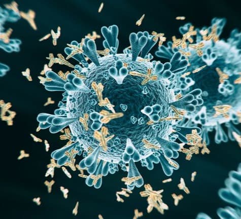 24 საათში საქართველოში კორონავირუსით 28 ადამიანი გარდაიცვალა