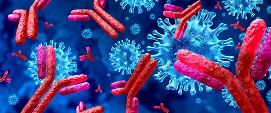 საქართველოში კორონავირუსის 1 997 ახალი შემთხვევა გამოვლინდა, გამოჯანმრთელდა 1 232 ადამიანი