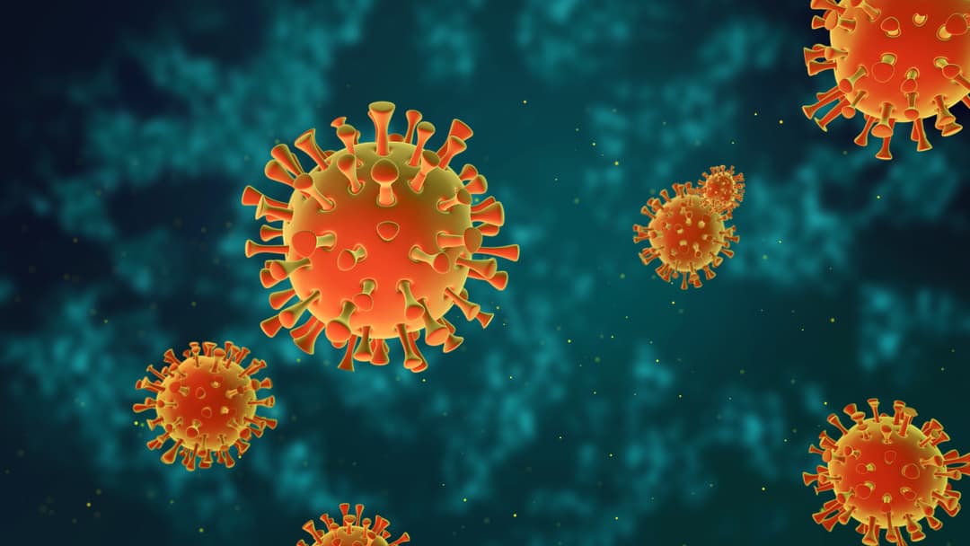 Covid: Georgia reports 1,851 new cases, 5,530 recoveries, 55 deaths