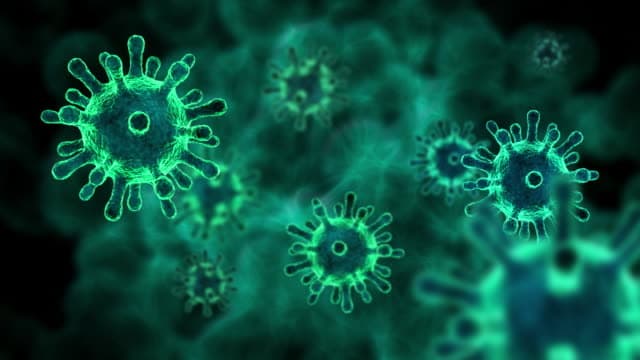 24 საათში საქართველოში კორონავირუსით 69 ადამიანი გარდაიცვალა