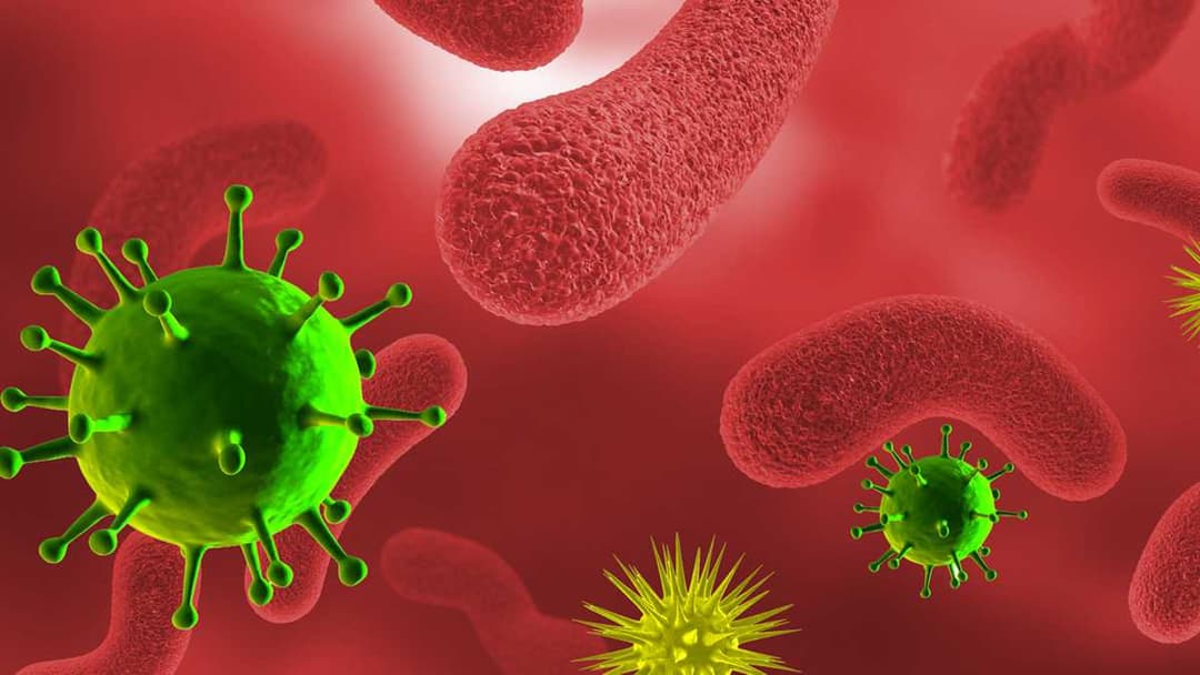 ინფიცირების 9 696 ახალი შემთხვევიდან 5 646 თბილისში გამოვლინდა, 1 136 – აჭარაში, 1 074 – იმერეთში