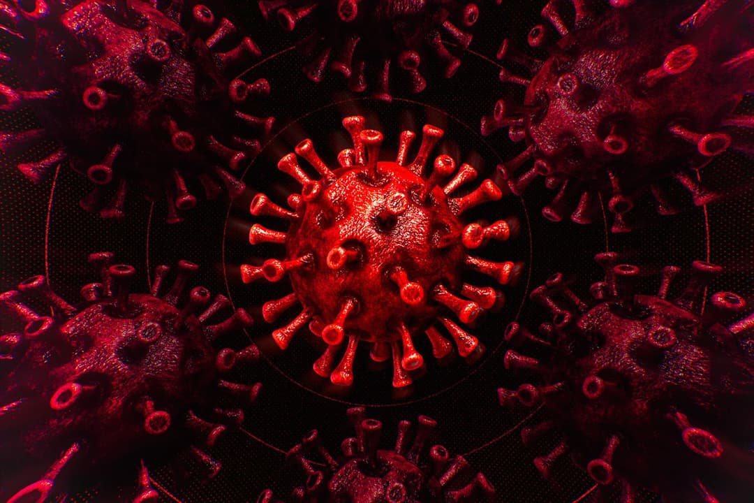 24 საათში საქართველოში კორონავირუსით 48 ადამიანი გარდაიცვალა