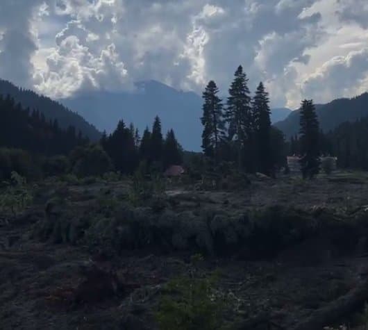 At least 40 trapped as Landslide hits Shovi resort in western Racha municipality