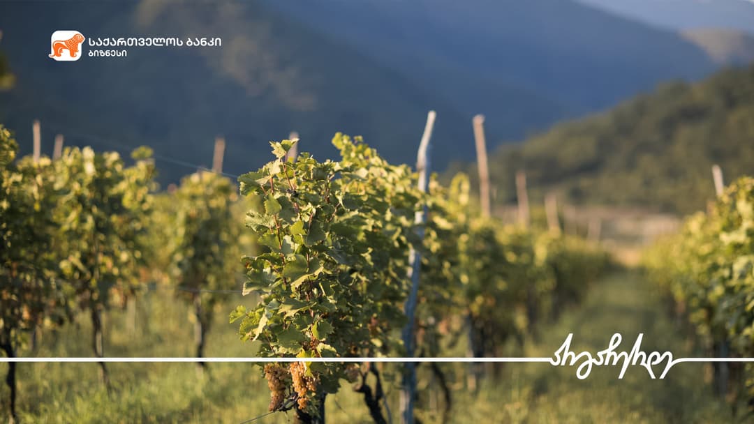 “საქართველოს ბანკის” მხარდაჭერით „მეღვინეობა ართანა“ საქმიანობას აფართოვებს