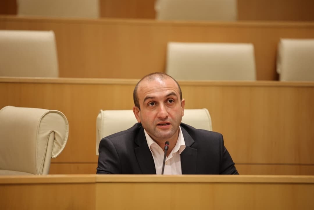 იაგო ხვიჩია – თვითონ შეაგროვონ საჭირო დეპუტაცია, თვითონ გაიარონ საკმარისი რეგისტრაცია და თვითონ დაუჭირონ მხარი