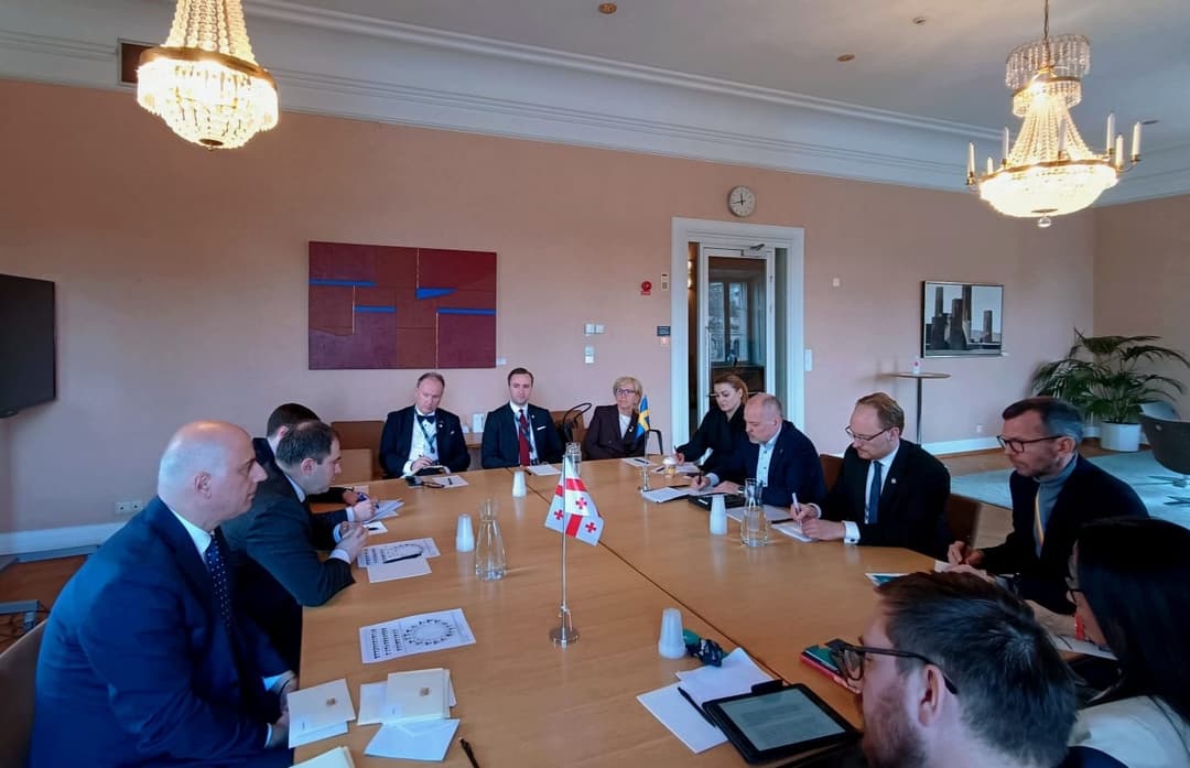 შვედეთის პარლამენტის საგარეო საქმეთა კომიტეტში საქართველოს შესახებ მოსმენა გაიმართა