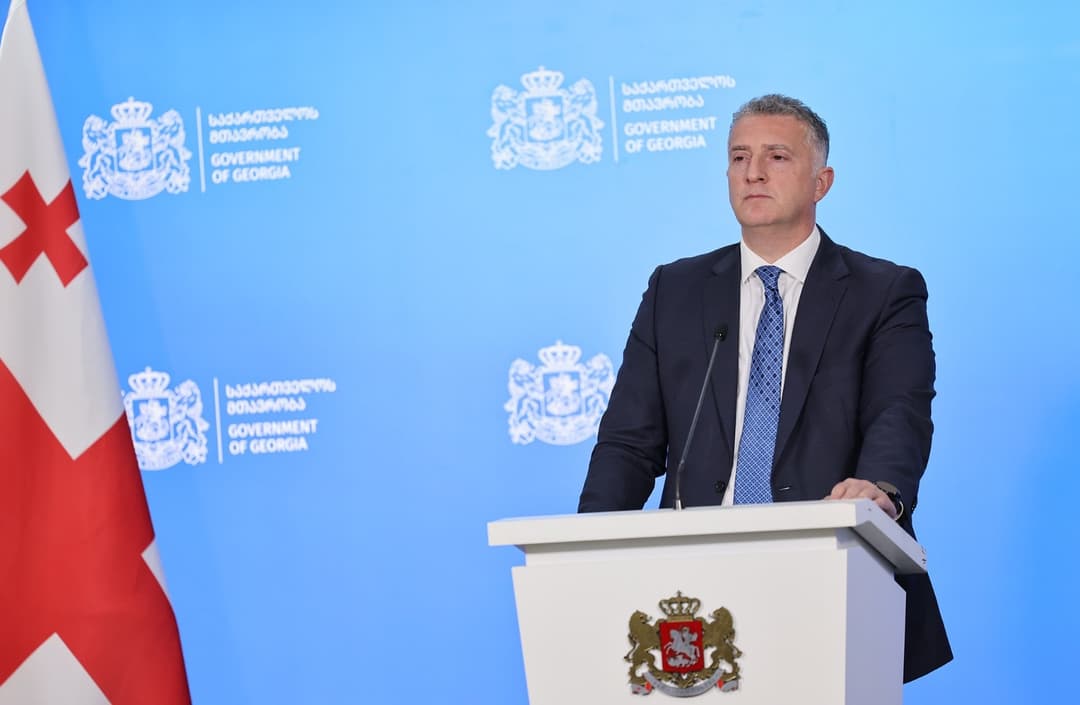 რევაზ ჯაველიძე – საქართველოს მთავრობის საკომუნიკაციო სტრატეგია მოიცავს 2024-2027 წლებს