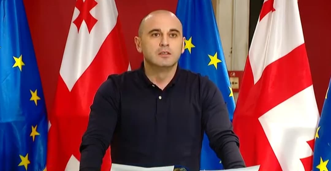 UNM Chair raises concerns over electoral fairness amid ex-Pres. Saakashvili’s imprisonment