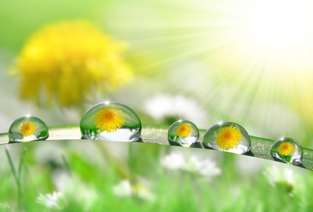 18-20 ივნისს მოსალოდნელი ამინდი საქართველოში