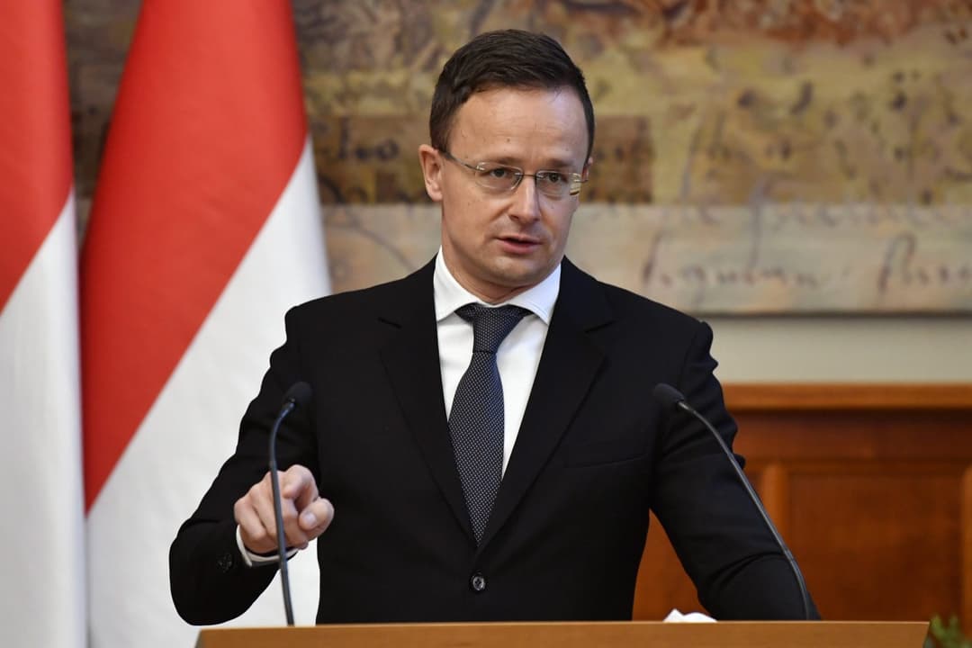 Hungarian FM: Georgia deserved candidate status, EU’s decision “inexplicable, incomprehensible”