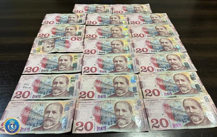 ქრთამის აღების ფაქტებზე ეროვნული სატყეო სააგენტოს ორი თანამშრომელი დააკავეს