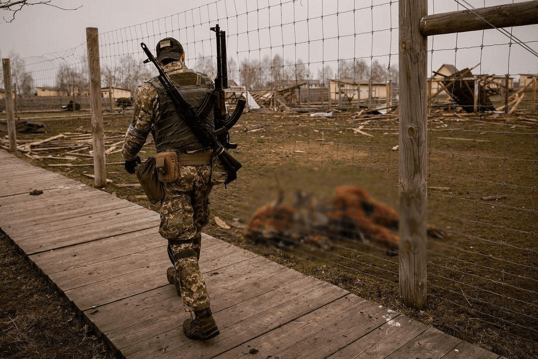 Frontnews image description