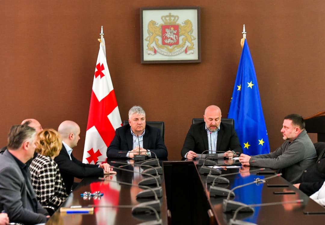 იმერეთში სახელმწიფო რწმუნებულის პირველ მოადგილედ ლევან სანიკიძე დაინიშნა