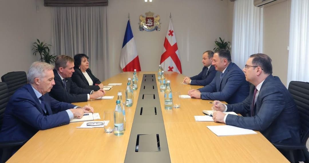 ვახტანგ გომელაურმა საფრანგეთის რესპუბლიკის ელჩთან გამოსამშვიდობებელი შეხვედრა გამართა