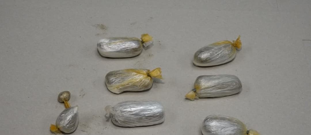 შსს-მ ნარკოდანაშაულისთვის 9 პირი დააკავა