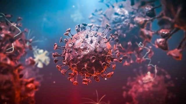 24 საათში საქართველოში კორონავირუსით 46 ადამიანი გარდაიცვალა