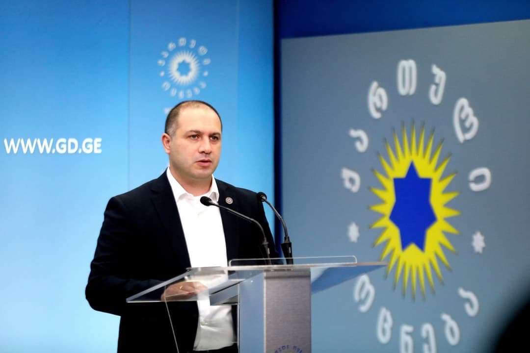 გივი მიქანაძე – 88 ადგილობრივი სადამკვირვებლო ორგანიზაციიდან 15 აფილირებულია “ნაცმოძრაობასთან“