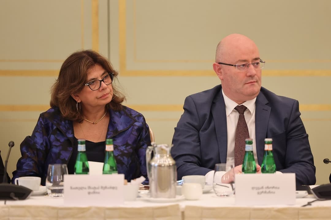 ლევან იზორია – ამბასადორიალზე შეხვედრის ფარგლებში საუბარი იყო საქართველოს საგარეო კურსთან დაკავშირებით