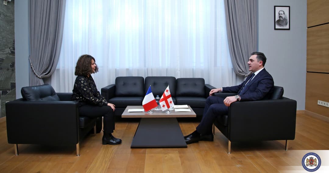 ილია დარჩიაშვილი საფრანგეთის ელჩს შეხვდა