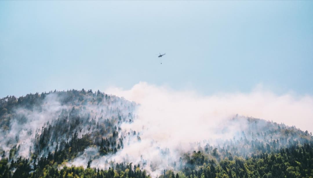 ბორჯომის მუნიციპალიტეტში ხანძრის კერების უმეტესობა ლიკვიდირებულია